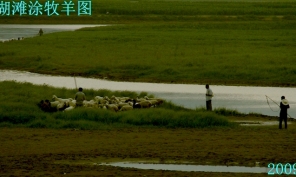 【原創(chuàng)】白沙湖灘涂夜景試拍