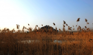 [原創(chuàng)]微山湖濕地