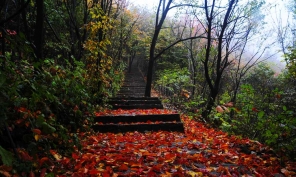 [原創(chuàng)]木扎嶺紅葉