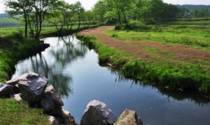 青青河邊草